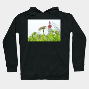 Carrot and Lentil - St Mathieu Hoodie